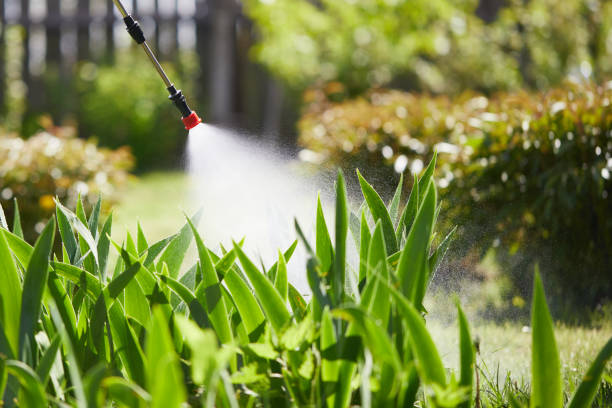 24/7 Emergency Wasp Removal experts in Lincolnia, VA