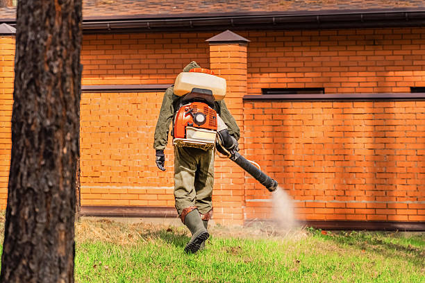 Top rated local Wasp Removal specialists in Lincolnia, VA